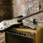 Illinois Celebrates Iconic Chicago Blues Songs Ahead of Annual Festival